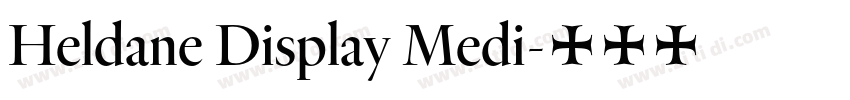 Heldane Display Medi字体转换